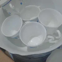 ظروف آرکوپال اصل فرانسه|ظروف سرو و پذیرایی|مشهد, شهرک مهر آباد|دیوار