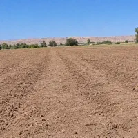 فروش-هزار-متر-زمین-زراعی-و-کشاورزی