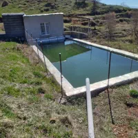 فروش زمین کشاورزی|فروش زمین و ملک کلنگی|موچش, |دیوار