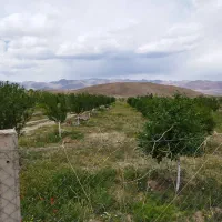 5500 متر باغ در منطقه آزاد ارس با کمتر از 2 تومن|فروش خانه و ویلا|جلفا, |دیوار