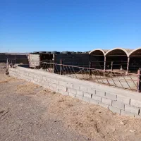 گاوداری|فروش دفتر صنعتی، کشاورزی، تجاری|فردوس (خراسان), |دیوار