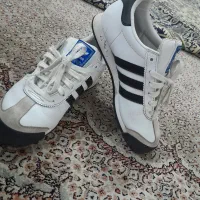 ساموا در حد