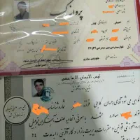 جلوبندی ترمزسازی هیدرولیک مکانیکی سیار(درمحل)