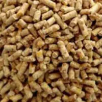 دانه مرغ گوشتی دانه پارس
