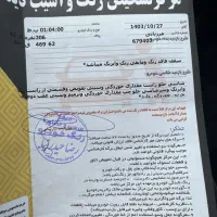 206 تیپ 5 بازسازی شده|خودرو سواری و وانت|فریدون‌کنار, |دیوار