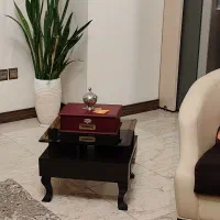 میز جلومبلی چوبی آنتیک|مبلمان خانگی و میز عسلی|تهران, پونک|دیوار