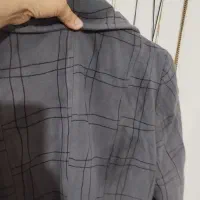 پالتوزنانه