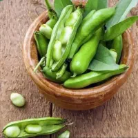 آموزش درمانگری همراه کار آفرینی بصورت آنلاین