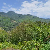 اجاره روزانه دربست جنگلی،کوهستانی سوادکوه، پلسفید|اجارهٔ کوتاه‌مدت آپارتمان و سوئیت|پل سفید, |دیوار