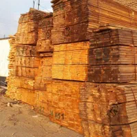 اندازه گوه تخته روسی قالب بندی دفنی|مصالح و تجهیزات ساختمان|مشهد, خین عرب|دیوار