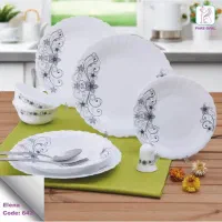 آرکوپال فله|ظروف سرو و پذیرایی|جهرم, |دیوار