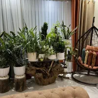 آپارتمانی-محدوده-پرستار