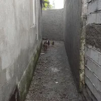 کاربنایی صفرتا صد