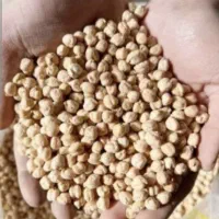 نخود گوکسو هر سه کیلو 500 مقطوع
