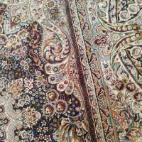 کاملا سالم ونو