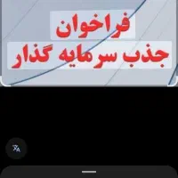 سرمایه گذار