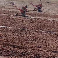 تیلر کشاورزی