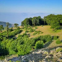 تور ارتفاعات گیلان|تور و چارتر|تهران, زعفرانیه|دیوار