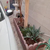 منزل-ملکی-سند-تک-برگ
