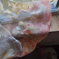 سه عدد پرده نو وتمیز باهم ۵۰۰ تومان با میل پرده