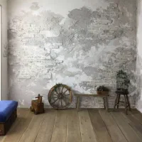 مجری پتینه مدرن و نقاش ساختمان|خدمات پیشه و مهارت|بناب, |دیوار