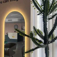 مدل میکروبلیدینگ/شیدلب