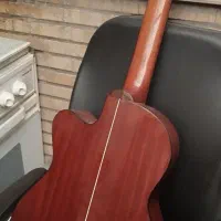 گیتار پائوچیا در حد نو