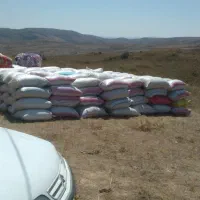 ۶ هکتار زمین زراعی واقع در روستایی اودلو