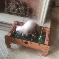 دسته بازی|کنسول، بازی ویدئویی و آنلاین|مشهد, سمزقند|دیوار