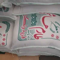 برنج طارم هاشمی سورتینگ شده