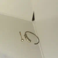 پیرسینگ بینی