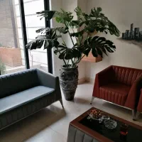 گل گیاه درختچه باغچه تراس گلدان پتینه و مدرن