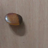 سنگ باباقوری سه پوست|کلکسیون اشیاء عتیقه|شهریار, شهریار|دیوار