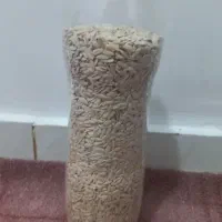 بذر گرگه (گرمک)