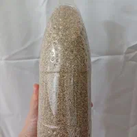 بذرعالی وتمیز سفید.پربار