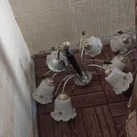لوستر