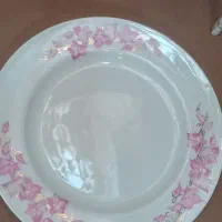 ظروف|ظروف سرو و پذیرایی|خرمآباد, |دیوار