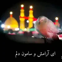 کاروان زیارتی مشهد مقدس وکربلا معلی