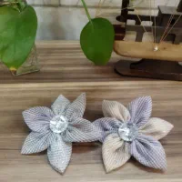 گلسر وکیف هنزفری