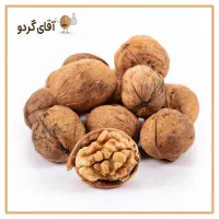 خانم دانشجوجهت کاردرمغازه موادغذایی بعدازظهرا