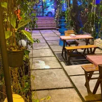 استخدام نظافتچی آقا