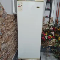 یخچال فریزر ارج