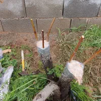 استخدام کارگر باغ