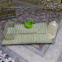 قفس پرنده با وسایل