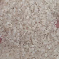 نیم دانه پاکستانی با قیمت عمده ۱۲۰ ت