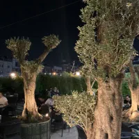 سالن کار|استخدام خدمات فروشگاه و رستوران|تهران, سعادتآباد|دیوار