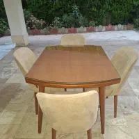 میزناهارخوری راش گرجستان