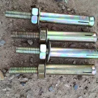 رول بولت شماره 10