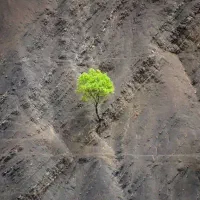 زمین امین آباد ۱۰۰۰ متر