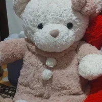 عروسک های شاسخین و تدی|اسباب‌‌بازی|تهران, والفجر (افسریه)|دیوار